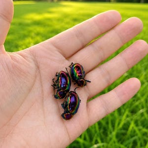 May include: Three small, oval-shaped beetles with a highly reflective, iridescent shell that shifts between vibrant shades of metallic purple, green, and gold. The insects have dark, visible legs and antennae, showcasing a smooth, glossy texture.