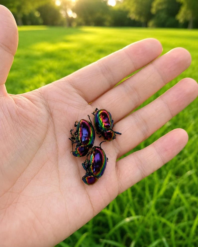 May include: Three small, oval-shaped beetles with a highly reflective, iridescent shell that shifts between vibrant shades of metallic purple, green, and gold. The insects have dark, visible legs and antennae, showcasing a smooth, glossy texture.