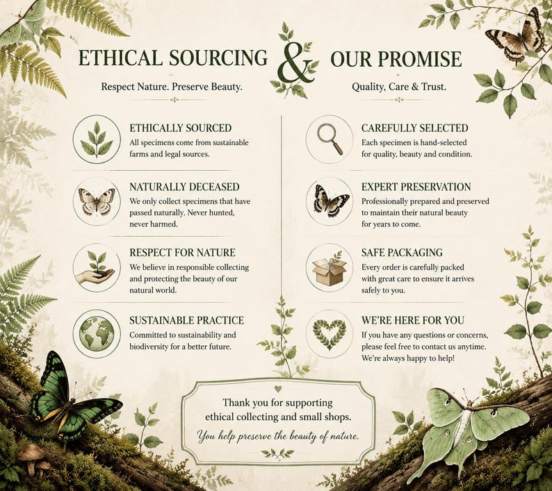 May include: An informational graphic titled Ethical Sourcing & Our Promise, featuring botanical illustrations of ferns, butterflies, and a moth. It lists eight points regarding sustainable practices, specimen preservation, and customer care on a cream background.
