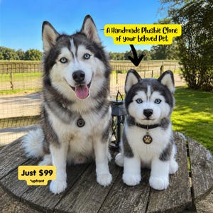 May include: A real Siberian Husky dog sits beside a plush toy replica. The plushie has blue eyes and a black collar with a paw print tag. Text reads: "A Handmade Plushie Clone of your beloved Pet."