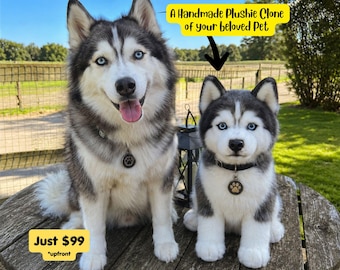 A Custom handmade Plushie Clone of your Pet, Turn Your Pet’s Photo Into a Stuffed Soft Toy, Custom Dog Cat Plush For Pet Memorial Keepsake