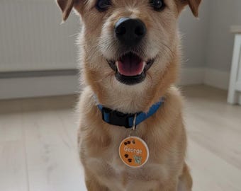 Placa de identificación para perro impresa en 3D personalizada / Placa de identificación para mascota personalizada / Nombre y contacto grabados
