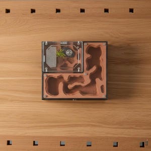 Ant Farm with External Water Tower - Moisturise Ant Nest - Anthill Castle