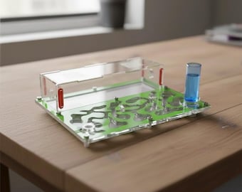 Ecological Acrylic Ant Formicarium