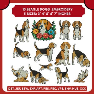 May include: A digital collection of 13 beagle dog embroidery designs in 5 sizes from 3 to 7 inches. The image displays various beagle poses including standing, sitting, playing, and a beagle head surrounded by colourful flowers, with file formats listed.
