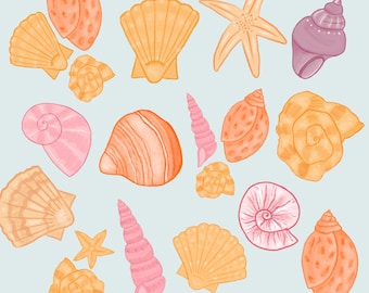 Muschel PNG Clipart Bundle | Handgezeichnete Ocean & Beach-Elemente | Digitaler Download