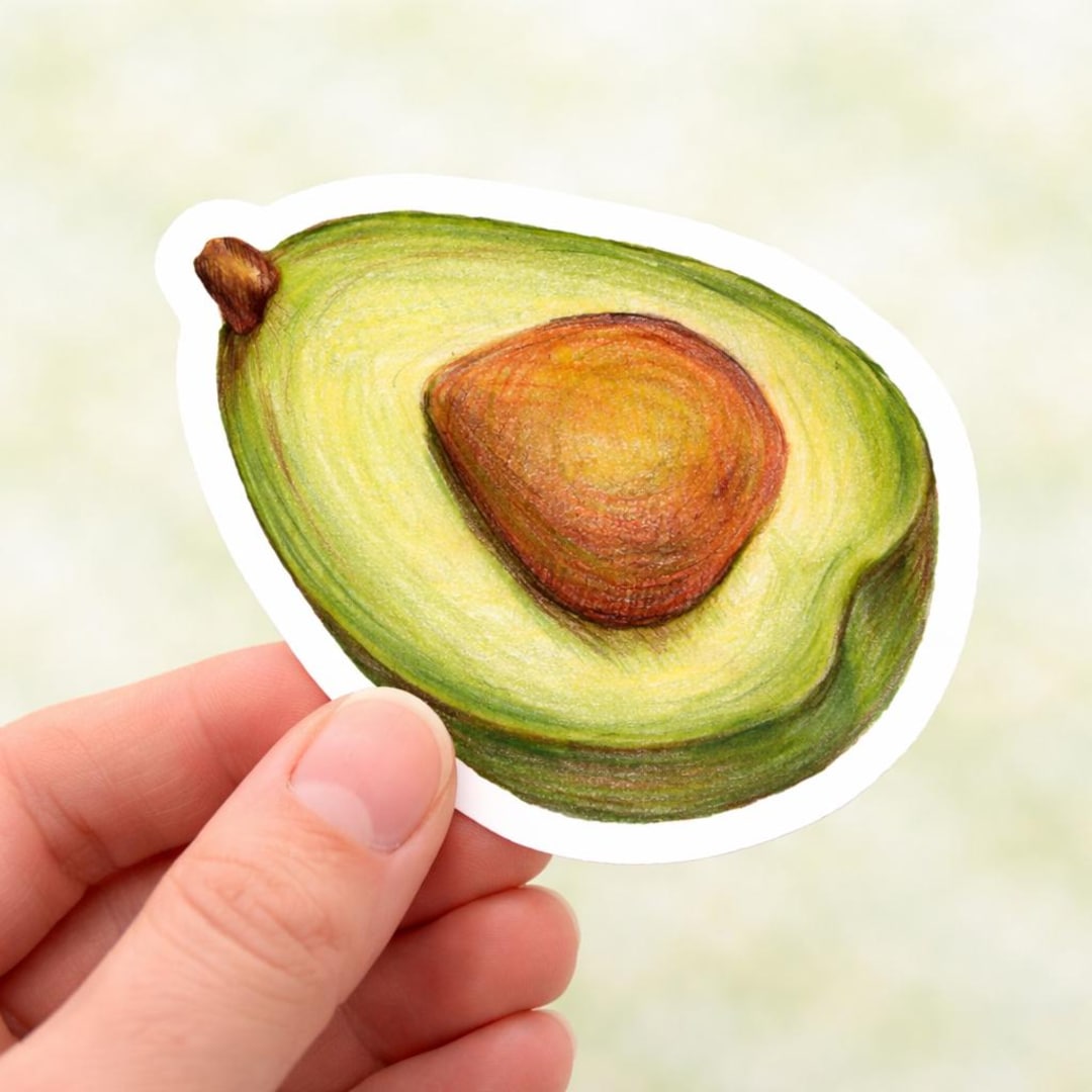 Cute Avocado Sticker Hand Drawn Food Art Vinyl Decal Kitchen Laptop ...
