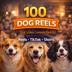 100 Hunde Rollen Bündel | Viral Pet Content für Instagram Reels, TikTok & Shorts | Bereit-zu-Post-Gesichtslose Hundevideos | Digitaler Download