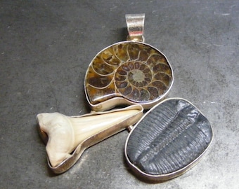 Vintage Ammonite, Trilobite, Shark Tooth Fossil  Pendant in Sterling Silver..... Lot 6861