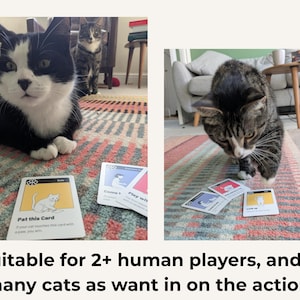 May include: A card game for cats and humans featuring white cards with black text and illustrations. One card shows a cat and reads Pat this Card. If your cat touches this card with a paw, you win. Other cards show various cat-related actions.
