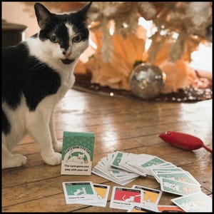 May include: A black and white cat stands next to a green card game box labeled Cats Don't Fetch, The card game you play with your cat. Several playing cards with colorful illustrations are spread out on the floor near a small red toy mouse.