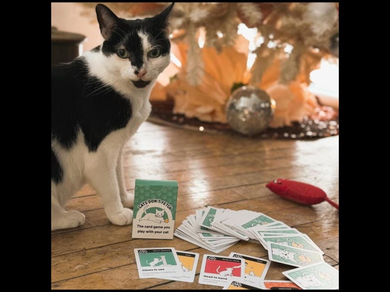 May include: A black and white cat stands next to a green card game box labeled Cats Don't Fetch, The card game you play with your cat. Several playing cards with colorful illustrations are spread out on the floor near a small red toy mouse.