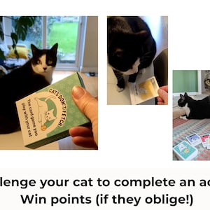 May include: A card game titled Cats Don't Fetch featuring a light green box with a white cat illustration and a yellow ball. The game includes multiple playing cards with cat graphics and text, designed for interactive play with a cat.