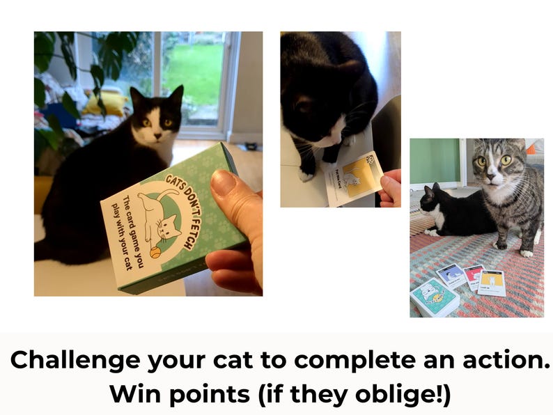 May include: A card game titled Cats Don't Fetch featuring a light green box with a white cat illustration and a yellow ball. The game includes multiple playing cards with cat graphics and text, designed for interactive play with a cat.