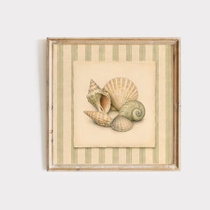 Könnte beinhalten: Ein gerahmtes Kunstwerk mit einer Sammlung von Muscheln. Die Muscheln sind in einem detaillierten Aquarellstil dargestellt, der verschiedene Formen und Texturen zeigt. Das Kunstwerk ist auf cremefarbenem Papier angeordnet und mit einem gestreiften Hintergrund und einem Holzrahmen versehen.