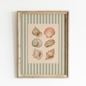 Könnte beinhalten: Ein gerahmter Wandkunstdruck mit einer Sammlung von sechs detaillierten Muschelillustrationen, die in zwei Spalten angeordnet sind. Der Hintergrund des Drucks weist ein vertikales Streifenmuster in Salbeigrün und Creme auf, in einem Holzrahmen.