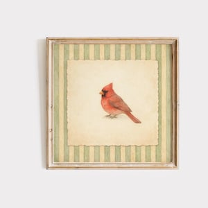 Vintage Cardinal Wall Art, Sage Green Striped Bird Print, Cottagecore Wall Decor image 1