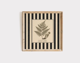 May include: Framed botanical print featuring an illustration of an eagle fern. The artwork is centered on a cream-colored background with the fern's scientific name. The frame has a striped pattern in black and beige.