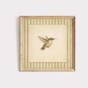 May include: A square framed wall art piece featuring a centered illustration of a small green and white hummingbird in flight. The bird is set against a cream-colored paper background with scalloped edges, layered over a sage green and cream striped pattern.
