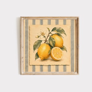 Può includere: Una stampa incorniciata ad acquerello con limoni. L'opera mostra due limoni interi e mezzo limone con foglie verdi e fiori bianchi. Lo sfondo ha una texture di carta vintage con un motivo a righe, il tutto all'interno di una cornice di legno.