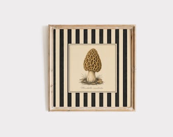 Plakat ścienny z grzybem smardzowym, botaniczny nadruk z grzybem w stylu vintage, plakat kuchenny Cottagecore