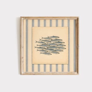 Könnte beinhalten: Ein quadratisches Wandbild mit einem zentralen cremefarbenen Quadrat, das eine Illustration eines Schwarms blauer und silberner Fische zeigt. Der Hintergrund hinter dem zentralen Quadrat besteht aus vertikalen blauen und cremefarbenen Streifen.