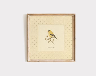 May include: A square framed wall art piece featuring a yellow and black goldfinch perched on a branch. The background is a cream-colored paper with a repeating pattern of small brown dots. The word goldfinch is written in cursive below the bird.