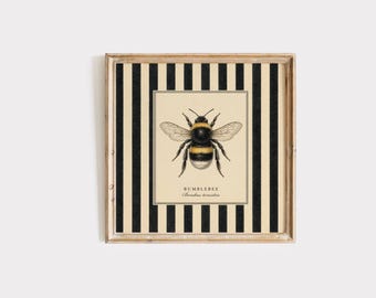 May include: Framed print featuring a detailed illustration of a bumblebee, centered on a cream-colored background. The print is encased in a gold-toned frame with a black and cream striped border. The text "BUMBLEBEE Bombus terrestris" is below the bee.