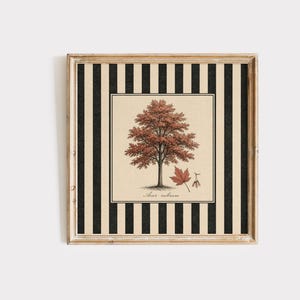 May include: Framed artwork with a detailed illustration of a tree with reddish-brown leaves and a fallen leaf. The artwork is set against a cream-coloured background with black vertical stripes and a wooden frame.