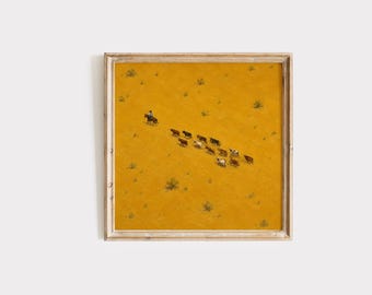 May include: A square framed art print featuring an aerial view of a lone rider on horseback herding a group of cattle across a vast, solid mustard-yellow desert landscape dotted with small, sparse green desert shrubs and dry vegetation.