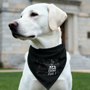Pañuelo para mascotas Spawn Point Atlanta – Pañuelo para gatos y perros estilo gamer, estilo streetwear