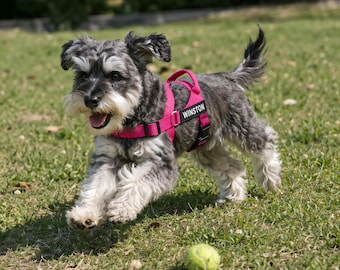 Pettorina personalizzata per cani con nome e numero di telefono, pettorina antistrappo personalizzata, gilet per animali domestici di piccola, media e grande taglia, regalo per amanti dei cani