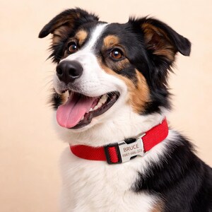 Collares personalizados para perros, collares reflectantes personalizables para perros, collares ajustables con nombre y hebilla resistente, perfectos para mascotas pequeñas y grandes.
