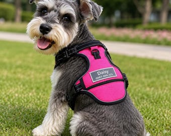 Arnés reflectante personalizado para perros con placa de identificación personalizada, chaleco antitirones para mascotas con parche para número de teléfono, arnés de seguridad ajustable.