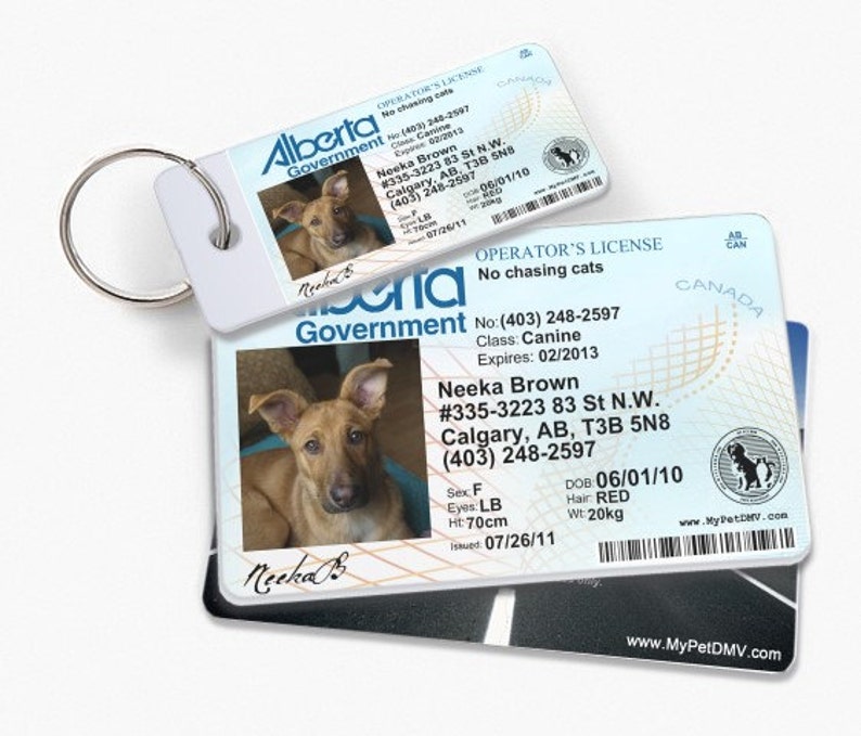 Canada Alberta Pet Drivers License ID Tags Complete Set Etsy