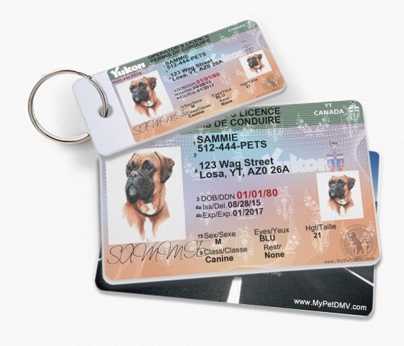 pet driver's license