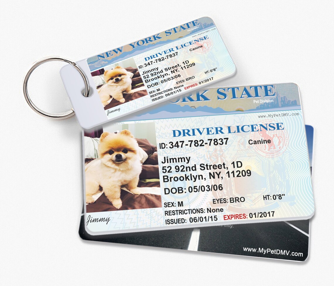 New York 20132015 Pet Drivers License ID Tags Complete Set Etsy