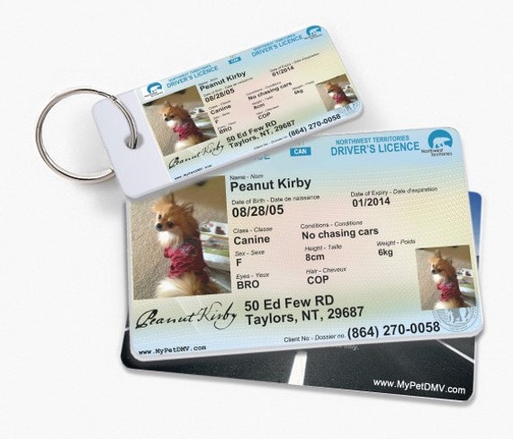 Canada Northwest Territories Pet Drivers License Id s Etsy