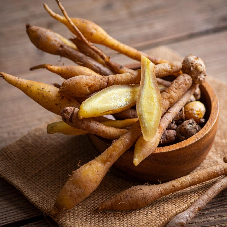 May include: A wooden bowl filled with fresh fingerroot, also known as krachai. The fingerroot has a light brown skin and a yellow interior. The bowl sits on a burlap cloth, with a wooden background.