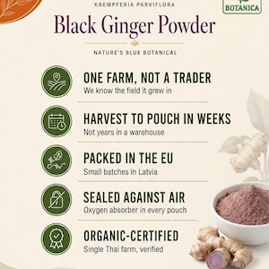 Może przedstawiać: Grafika informacyjna produktu Green Botanica Black Ginger Powder, Kaempferia Parviflora. Tekst podkreśla pochodzenie z jednej farmy, szybkość zbior&oacute;w, pakowanie w UE, szczelne opakowania i certyfikat ekologiczny. Zawiera miskę z proszkiem i korzenie imbiru.