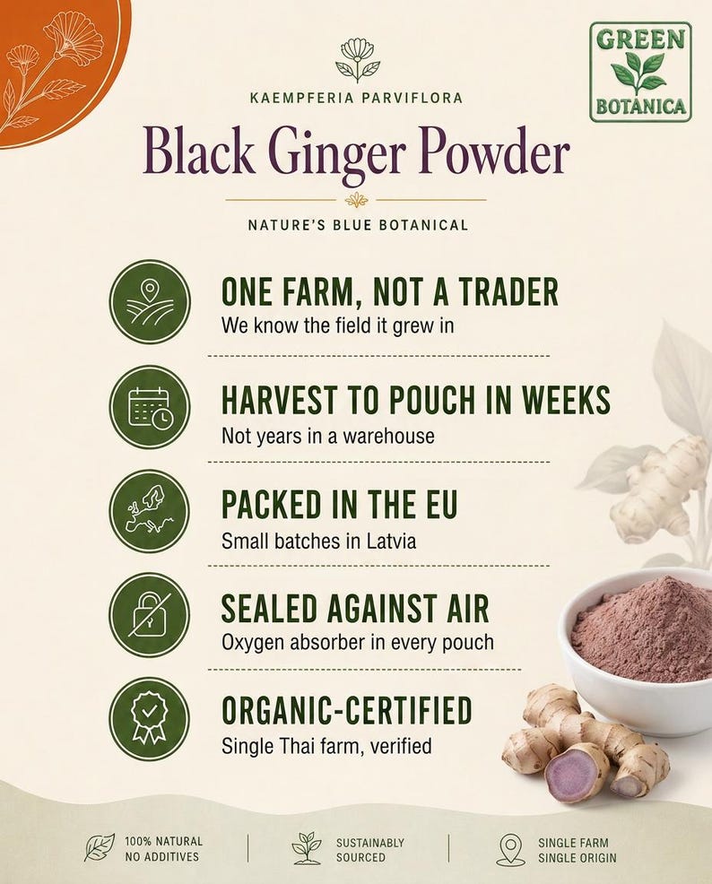 Może przedstawiać: Grafika informacyjna produktu Green Botanica Black Ginger Powder, Kaempferia Parviflora. Tekst podkreśla pochodzenie z jednej farmy, szybkość zbior&oacute;w, pakowanie w UE, szczelne opakowania i certyfikat ekologiczny. Zawiera miskę z proszkiem i korzenie imbiru.