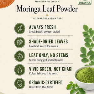 Może przedstawiać: Grafika informacyjna dotycząca sproszkowanych liści moringi Green Botanica. Tekst podkreśla cechy takie jak małe partie, liście suszone w cieniu, tylko liście, żywy zielony kolor i certyfikat ekologiczny. Widoczna miseczka z zielonym proszkiem.