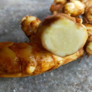 May include: Close-up of fresh turmeric root, with a cut section displaying a pale yellow interior. The outer skin is a mottled brown and orange. The image highlights the texture and colour of the spice.