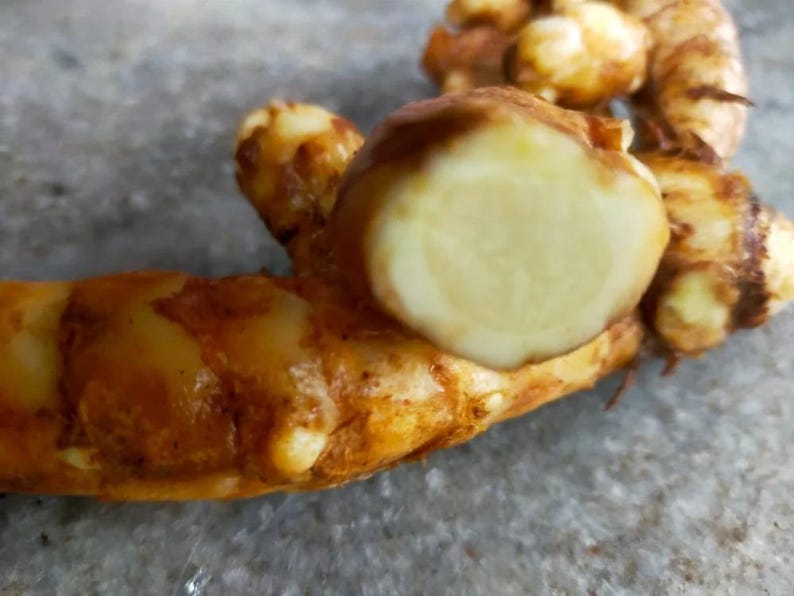 May include: Close-up of fresh turmeric root, with a cut section displaying a pale yellow interior. The outer skin is a mottled brown and orange. The image highlights the texture and colour of the spice.