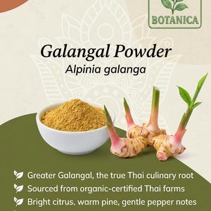 Galangal Root Pulver – Greater Galangal – Thai ingefära – Alpinia galanga Krydda bild 3