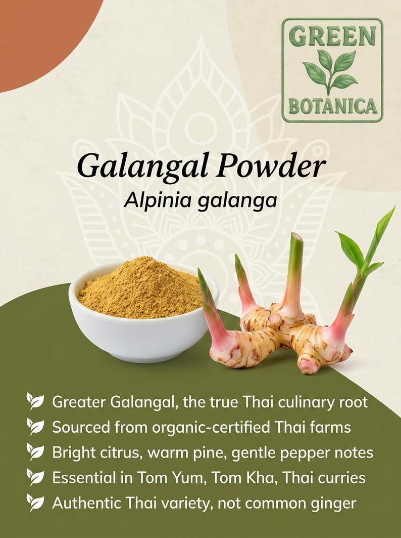 Galangal Root Pulver – Greater Galangal – Thai ingefära – Alpinia galanga Krydda bild 3