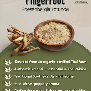 May include: Image of fingerroot (Boesenbergia rotunda) with a wooden bowl of powder and fresh fingerroot. Text states "Sourced from an organic-certified Thai farm". It is a traditional Southeast Asian rhizome.