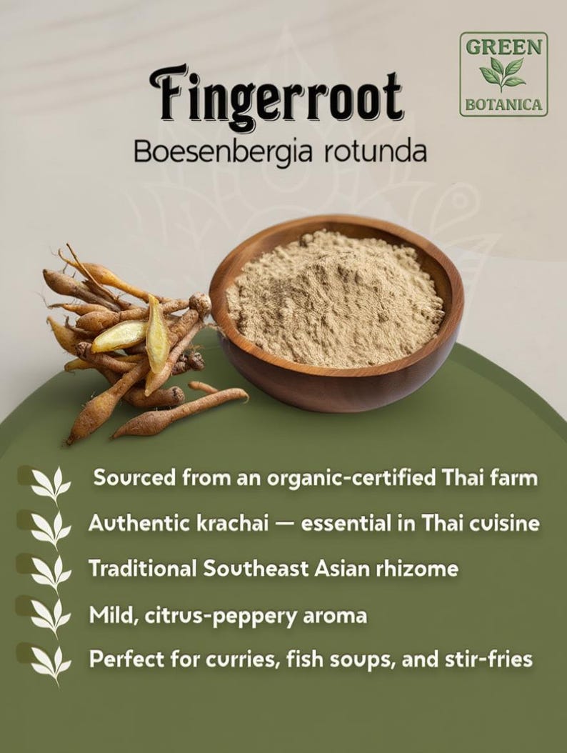 May include: Image of fingerroot (Boesenbergia rotunda) with a wooden bowl of powder and fresh fingerroot. Text states "Sourced from an organic-certified Thai farm". It is a traditional Southeast Asian rhizome.