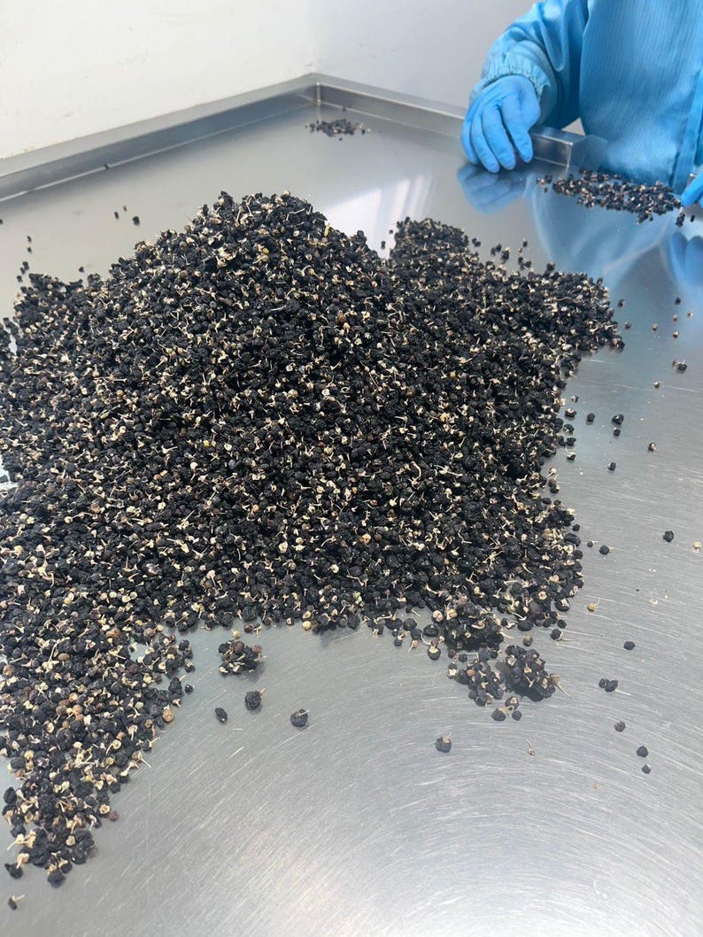 K&ouml;nnte beinhalten: Ein gro&szlig;er Haufen kleiner, getrockneter schwarzer Goji-Beeren mit sichtbaren hellen Stielen, die auf einer glatten, reflektierenden Edelstahloberfl&auml;che liegen. Die Beeren sind unregelm&auml;&szlig;ig geformt, dunkel und wirken dehydriert und schrumpelig.
