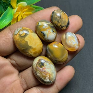 Può includere: Una collezione di sette pietre preziose ovali lucide. Le pietre presentano una varietà di colori, tra cui sfumature di giallo, marrone e bianco, con motivi e vortici unici. Le pietre sono lisce e lucenti.